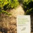Verlag am Goetheanum-Jean-Michel Florin-Biologisch-dynamischer Weinbau